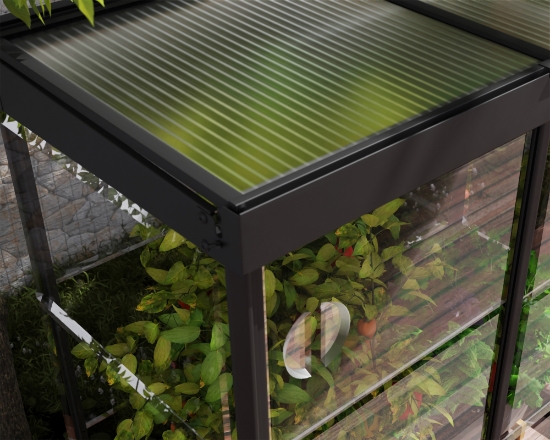 Imagine Canopia - IVY 4 X 2 Seră din Policabonat Structură Neagră & Panouri Transparente